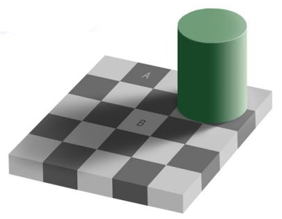 Checker Board Illusion